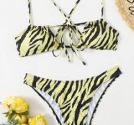 Zebra Stripe Crisscross Bikini Swimsuit